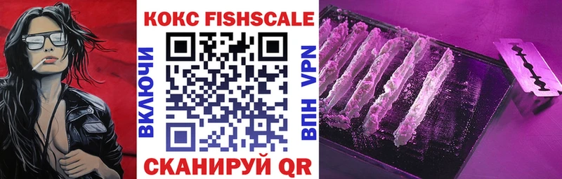 COCAIN Fish Scale купить наркотики цена shop какой сайт Красный Холм KRAKEN tor