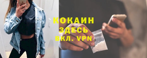 дживик Пестово