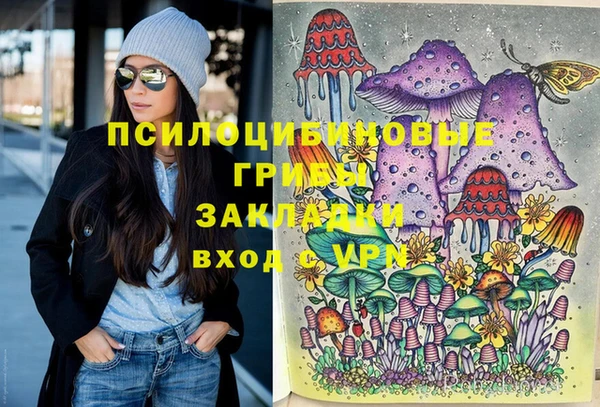 стафф Осташков
